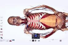 Multimedialny stół anatomiczny